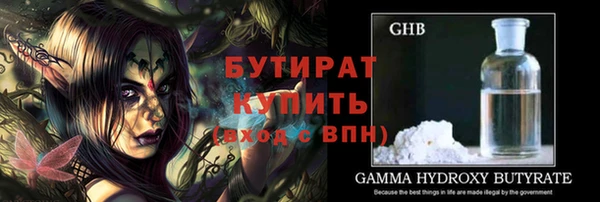 сатива Ельня