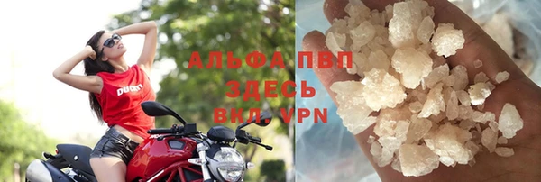 прущие грибы Нягань
