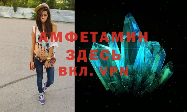 гашик Козловка