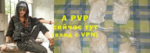 прущие грибы Нягань
