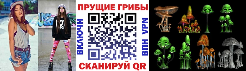 купить   мега ССЫЛКА  Псилоцибиновые грибы Psilocybe  Красновишерск 
